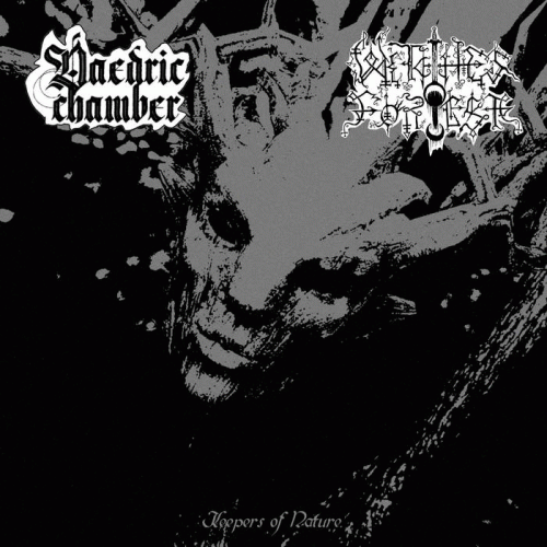 Daedric Chamber : Keepers of Nature